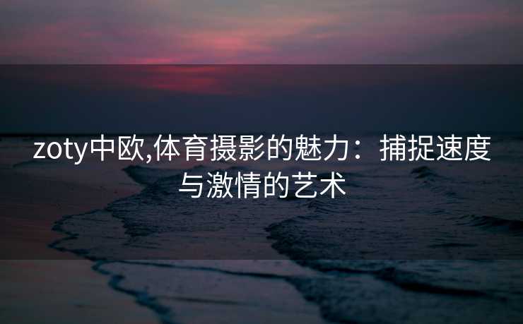 zoty中欧,体育摄影的魅力：捕捉速度与激情的艺术