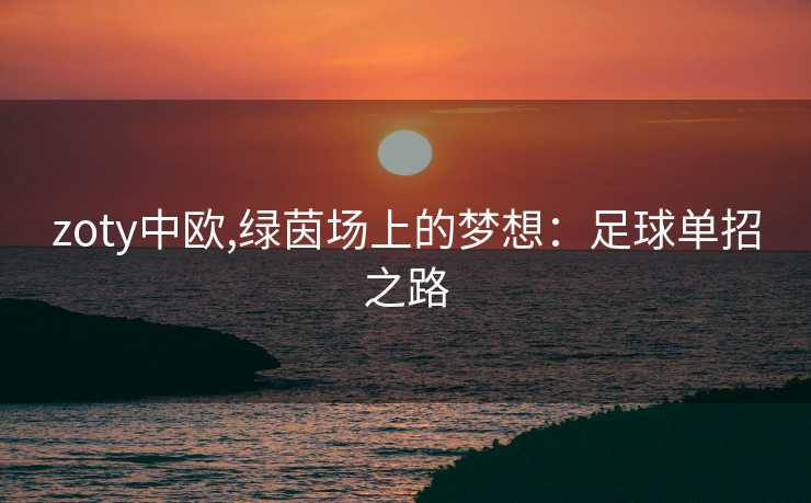 zoty中欧,绿茵场上的梦想：足球单招之路