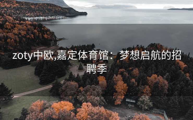 zoty中欧,嘉定体育馆：梦想启航的招聘季