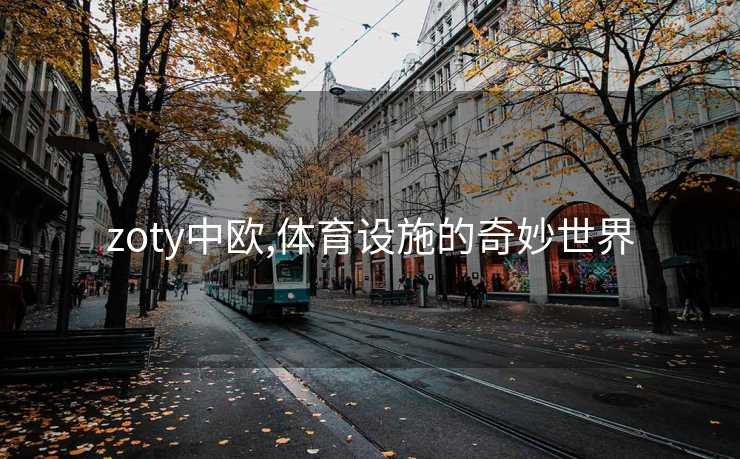 zoty中欧,体育设施的奇妙世界