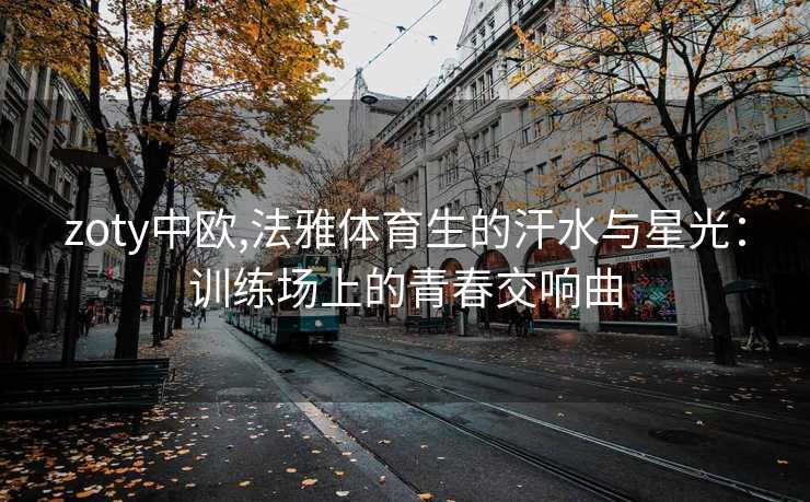 zoty中欧,法雅体育生的汗水与星光：训练场上的青春交响曲