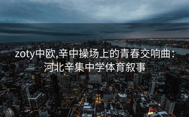 zoty中欧,辛中操场上的青春交响曲：河北辛集中学体育叙事