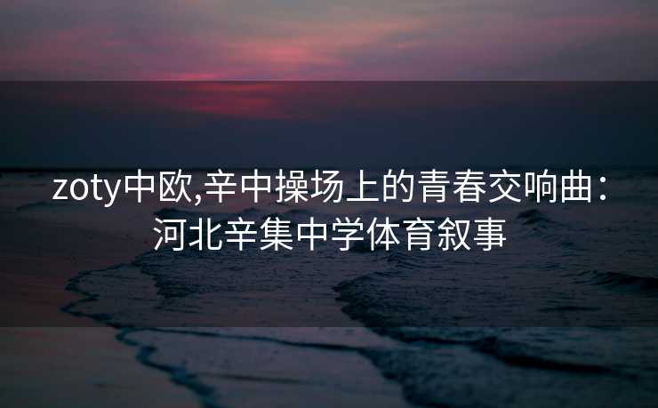 zoty中欧,辛中操场上的青春交响曲：河北辛集中学体育叙事