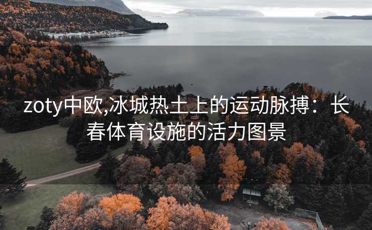 zoty中欧,冰城热土上的运动脉搏：长春体育设施的活力图景